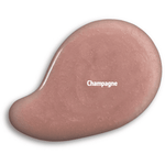 LIP SHINE SPF 35_-_CHAMPAGNE - Colorescience UK 